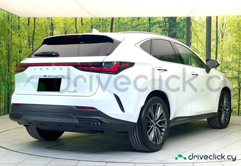 Lexus NX Белый