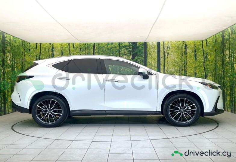 Lexus NX Белый