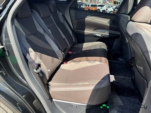 Lexus RX Black