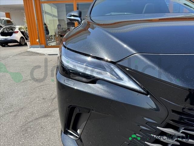 Lexus RX Black