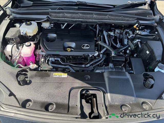 Lexus RX Black