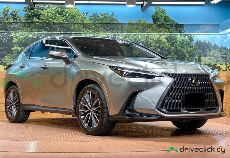 Lexus NX Серый