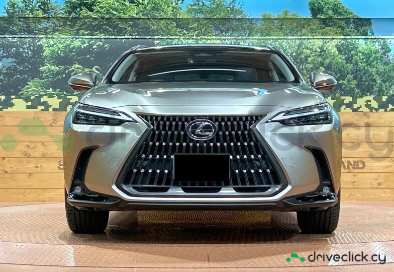 Lexus NX Серый