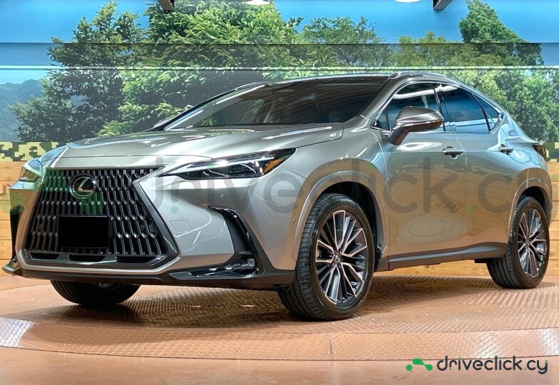 Lexus NX Серый