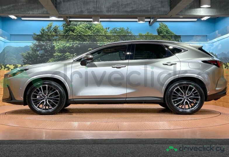 Lexus NX Серый
