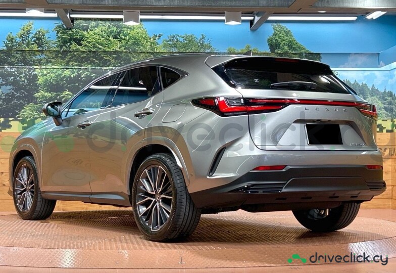 Lexus NX Серый