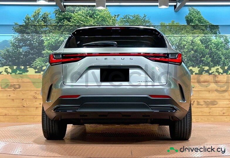 Lexus NX Серый