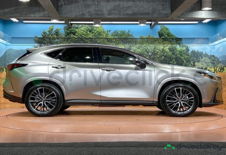Lexus NX Серый