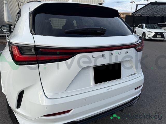 Lexus NX White