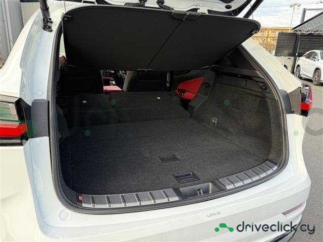 Lexus NX White