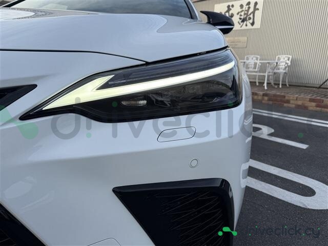 Lexus NX White