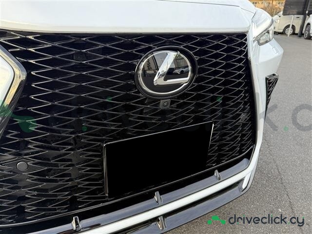 Lexus NX White
