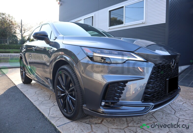 Lexus RX Grey