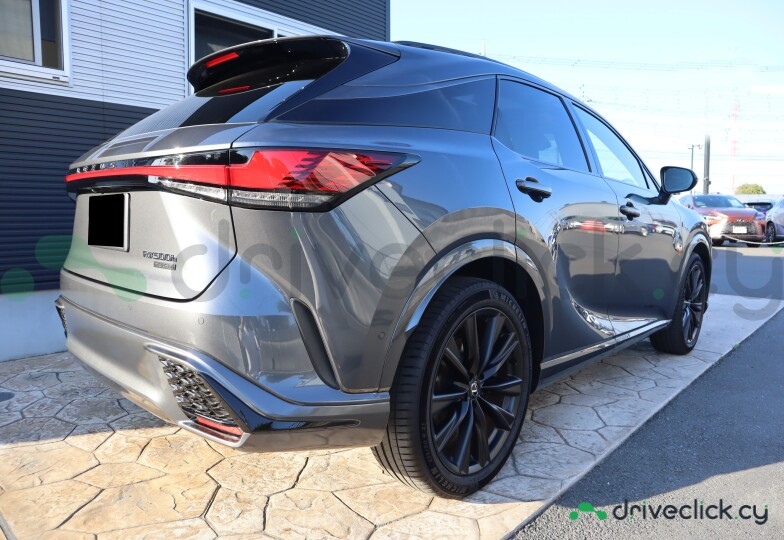 Lexus RX Grey