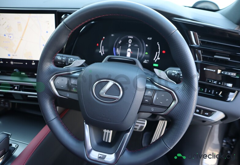 Lexus RX Grey