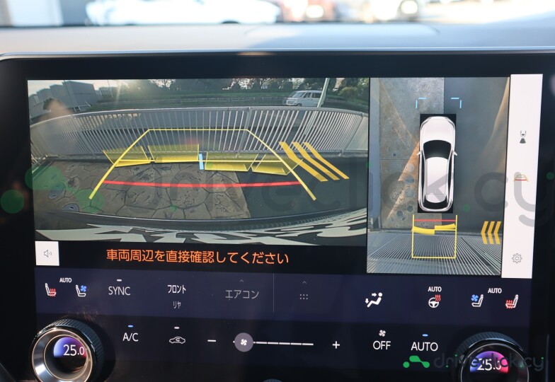 Lexus RX Grey