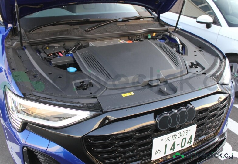 Audi Q8 Sportback e-tron Blue