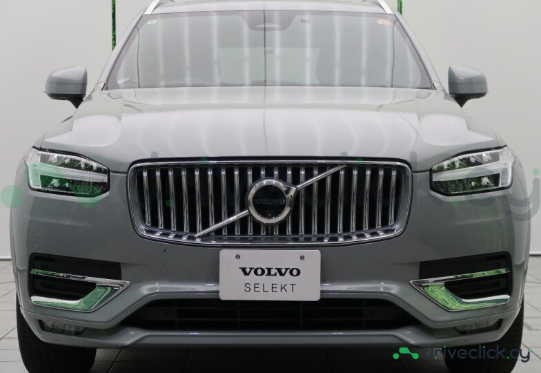 Volvo XC90 Серый