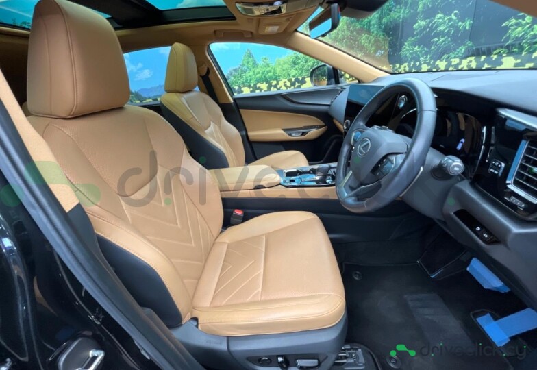 Lexus NX Black