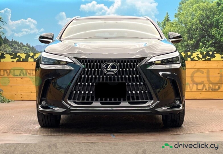 Lexus NX Black