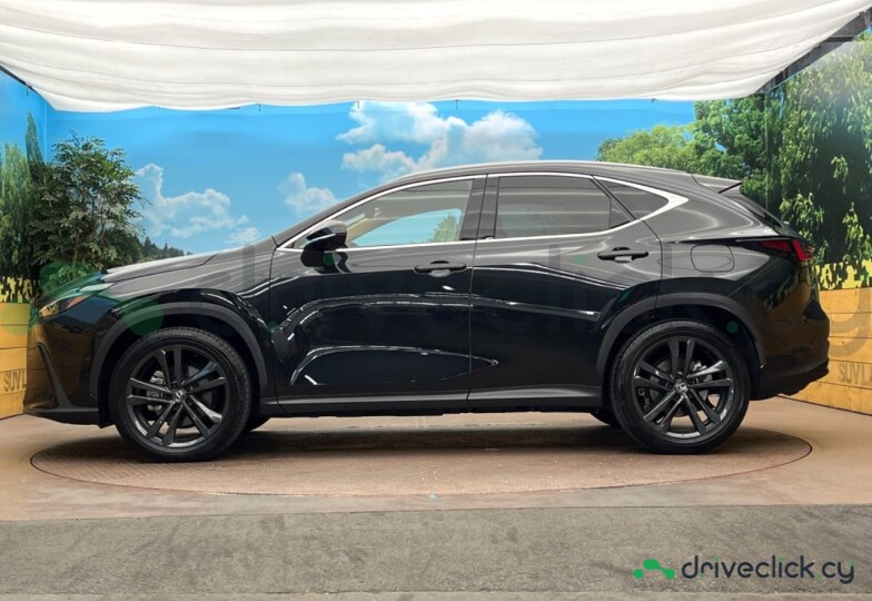 Lexus NX Black