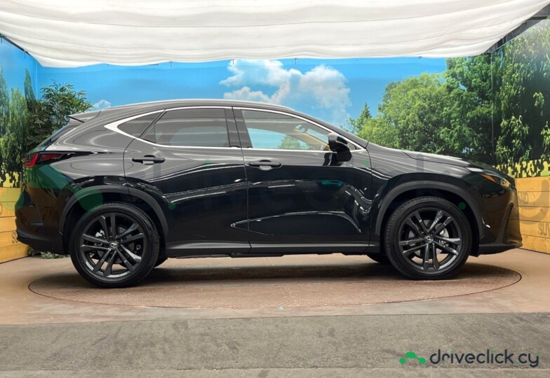 Lexus NX Black