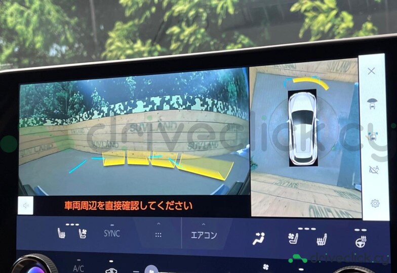 Lexus NX Black