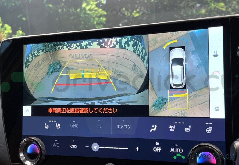 Lexus NX Black