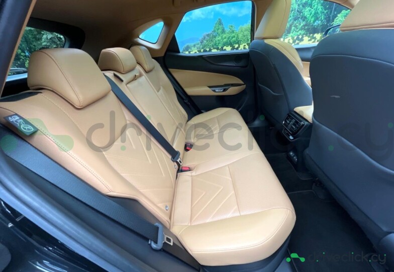 Lexus NX Black