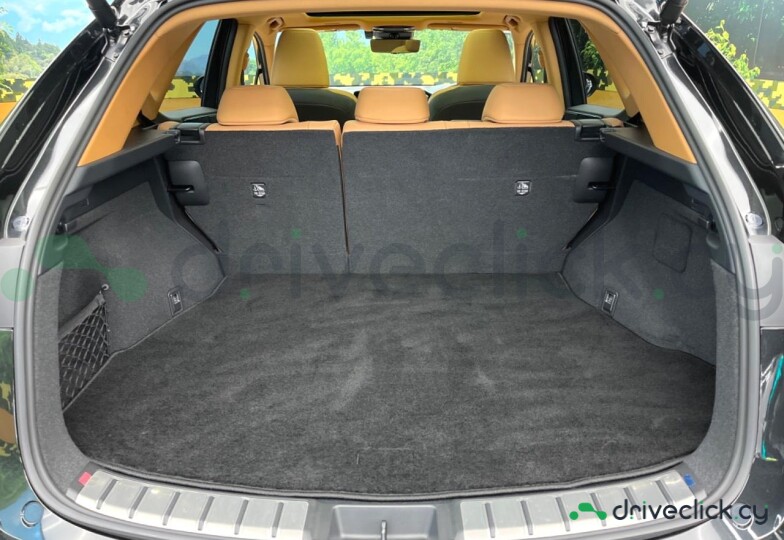 Lexus NX Black