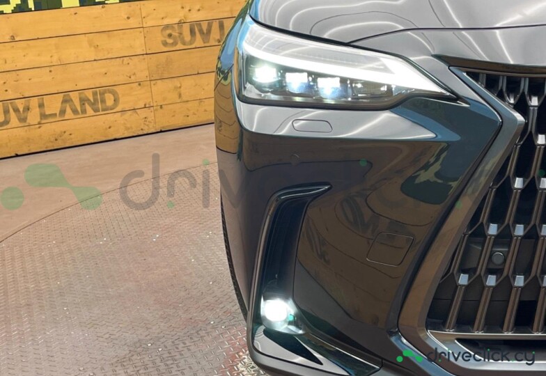 Lexus NX Black