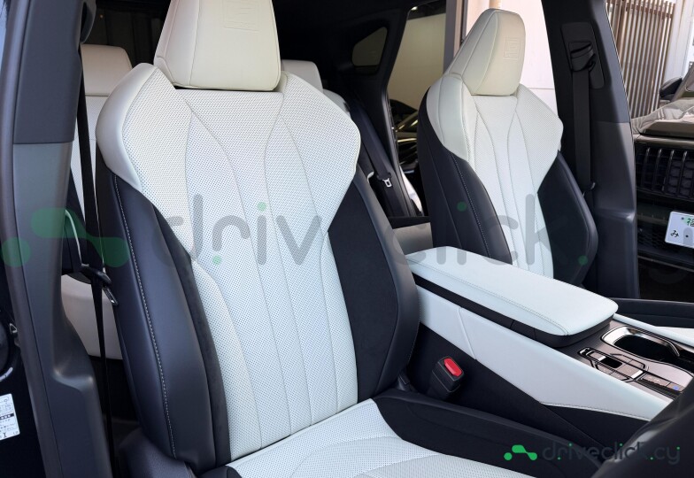 Lexus RX Black