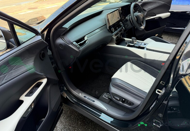 Lexus RX Black