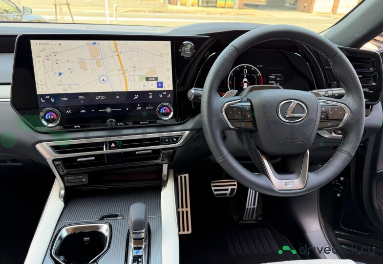 Lexus RX Black