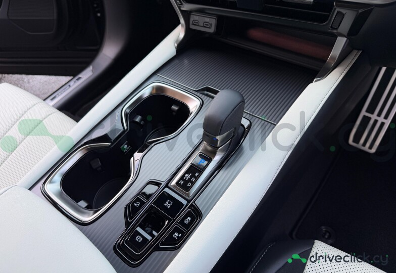 Lexus RX Black