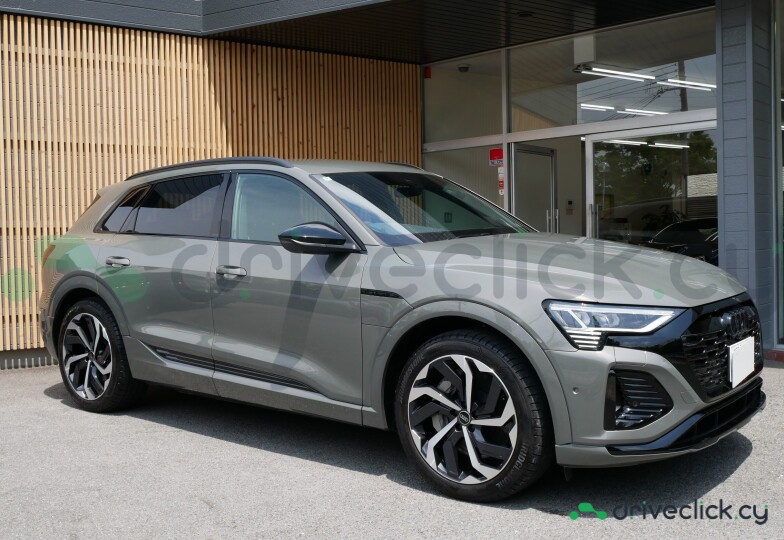 Audi Q8 e-tron Grey