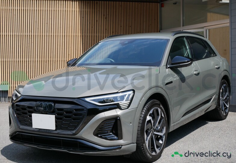 Audi Q8 e-tron Grey