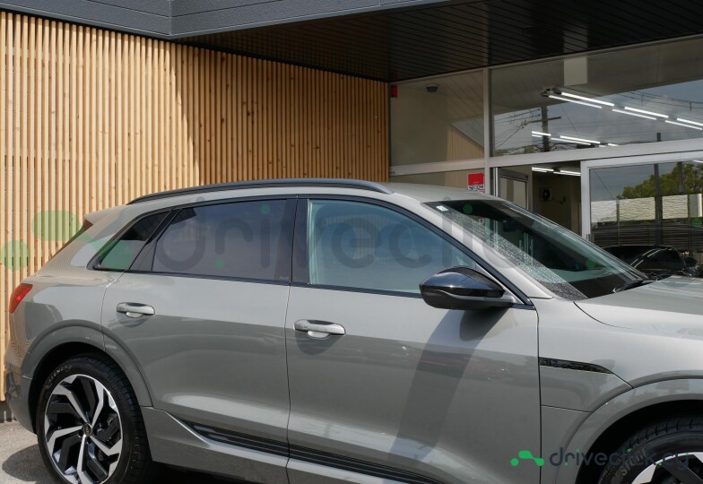 Audi Q8 e-tron Grey