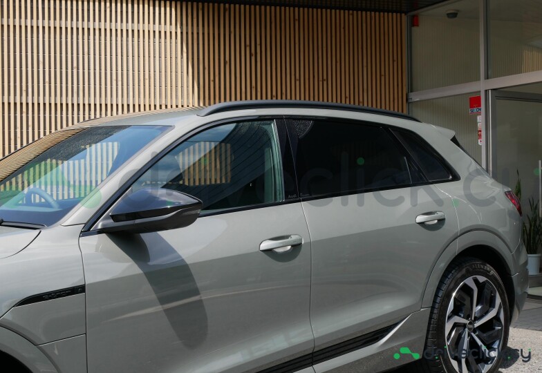 Audi Q8 e-tron Grey