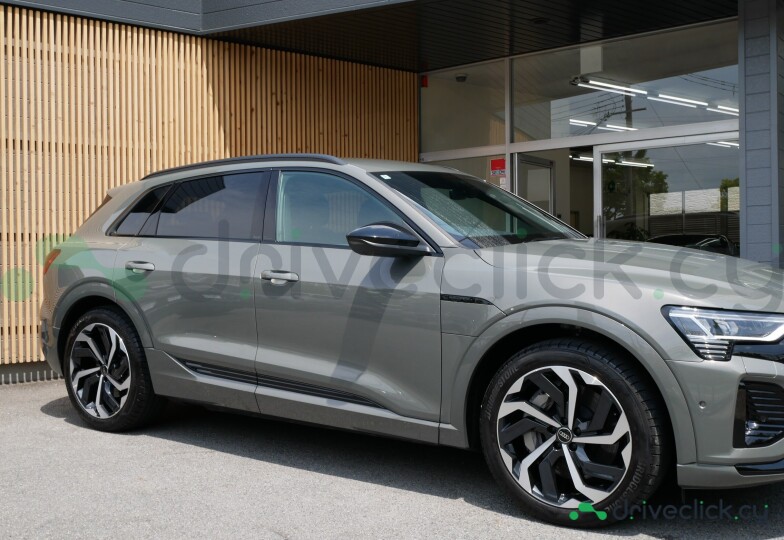 Audi Q8 e-tron Grey