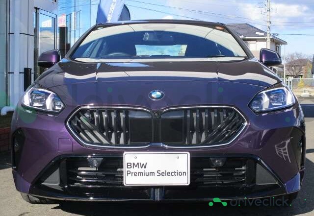 BMW 2 series Purple