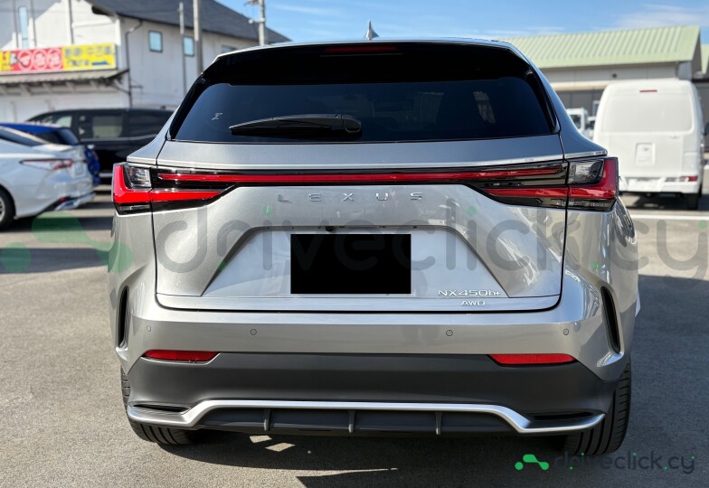 Lexus NX Grey