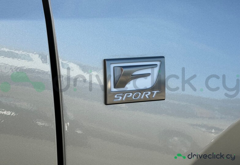 Lexus NX Grey