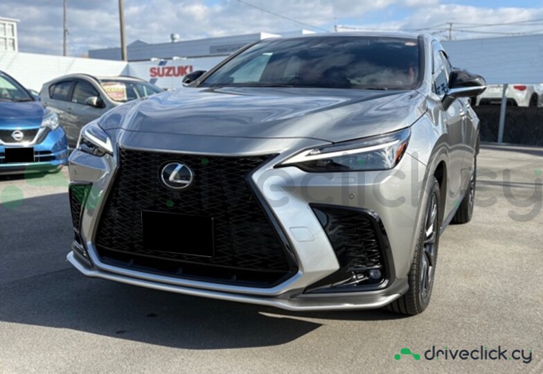 Lexus NX Grey