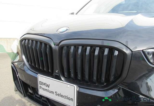 BMW X5 Black