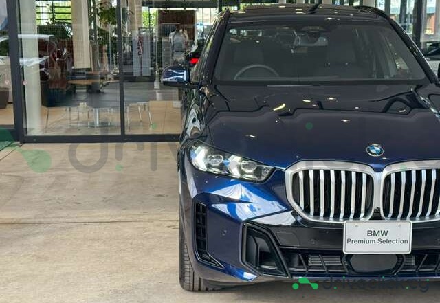 BMW X5 Blue