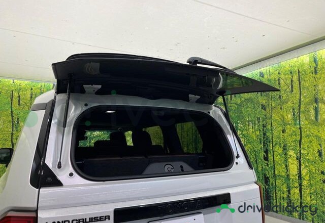 Toyota Land Cruiser 250 White
