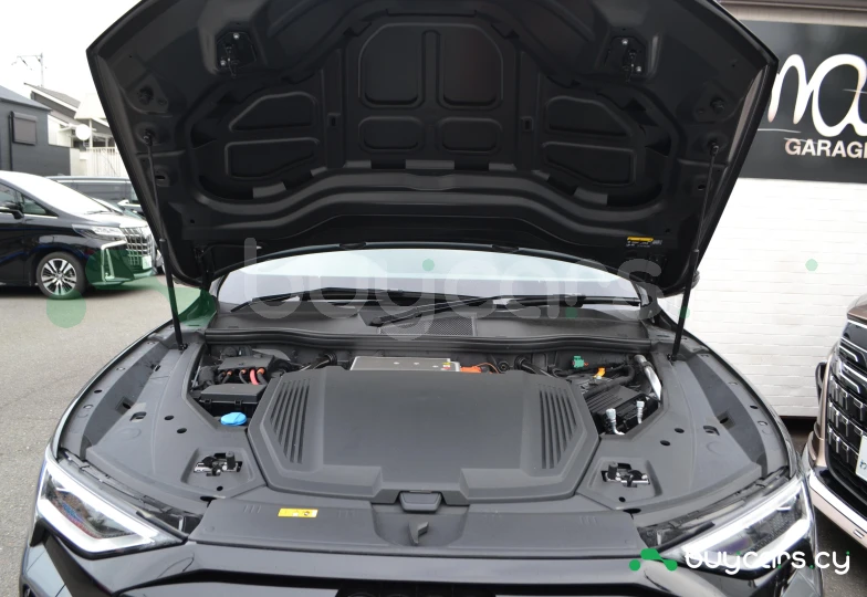 Audi Q8 e-tron Серый