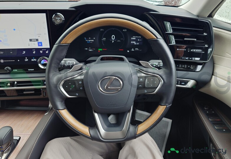 Lexus RX Черный