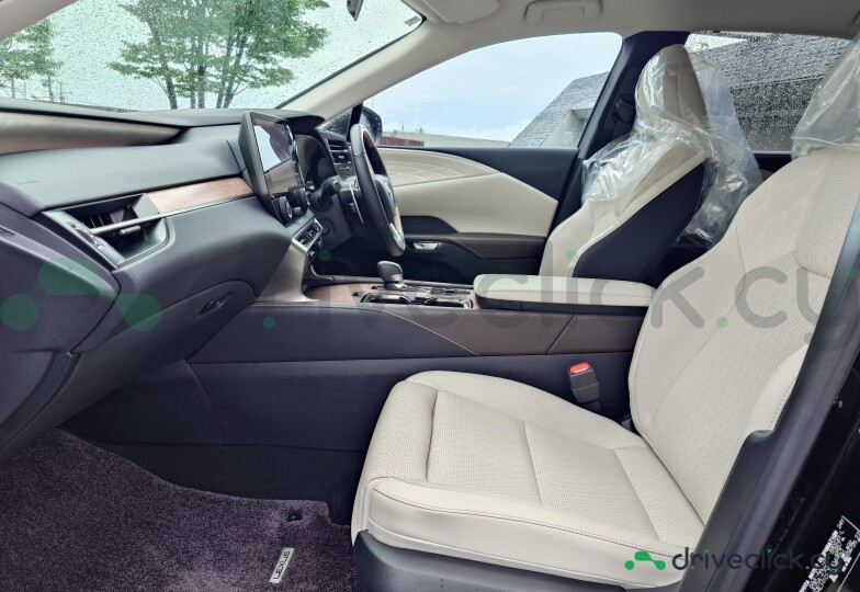 Lexus RX Черный